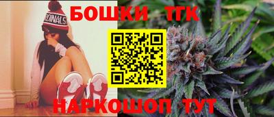 крисы Аргун