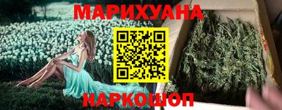 крисы Аргун