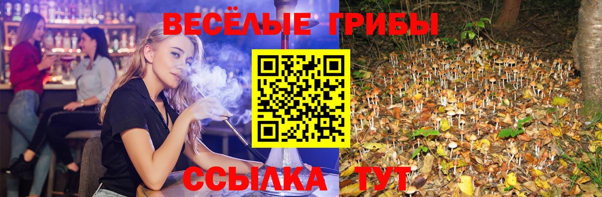 Выкса  дарнет шоп  Вход с VPN  Галлюциногенные грибы мицелий 